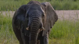 Velkolepá příroda Afriky