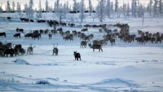 Poklady na dne morí