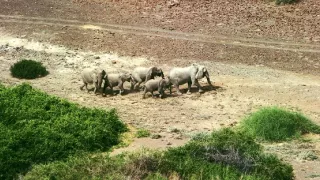 Afrikou letom svetom (5/6)