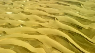 Afrikou letom svetom (5/6)