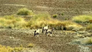 Afrikou letom svetom (5/6)