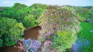 Ohrozená Amazónia (2/3)