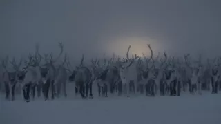 Na tenkom ľade
