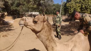Kamera na cestách: India z výšky (1/2)