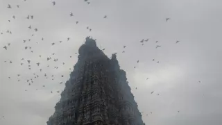 Kamera na cestách: India z výšky (1/2)