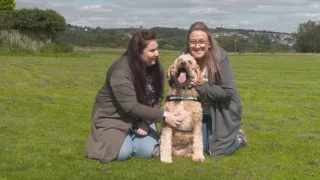 Veterinár z Yorkshiru XI (3)