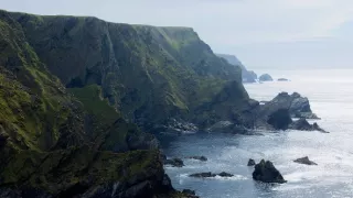Divoké Shetlandy