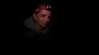 Kiwiland (5/5)