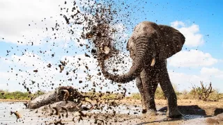 Napájadlo - africká zvieracia oáza (1/3)