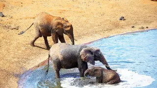 Napájadlo - africká zvieracia oáza (1/3)