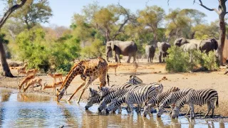 Napájadlo - africká zvieracia oáza (1/3)