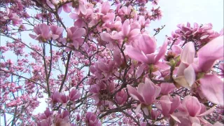 Tajomstvá Vatikánu (5/5)