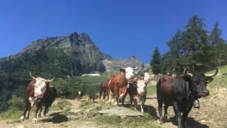 Na cestě po Valle d’Aosta