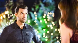 Vianoce v Brusnicovej aleji