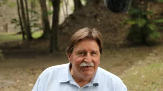 Pád mayských králů