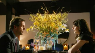 Dr. House (20)