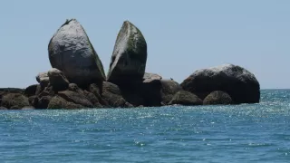 Kiwiland (3/5)