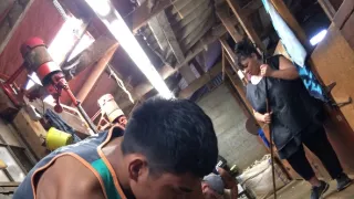 Kiwiland (3/5)