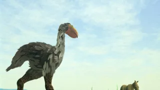 Ohrozená biodiverzita - fakty o vymieraní druhov