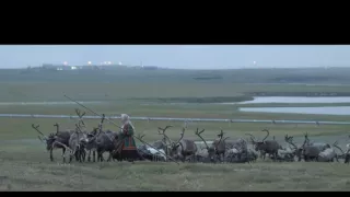 Indiáni Sibíri proti ťažbárom