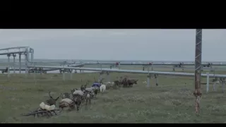 Indiáni Sibíri proti ťažbárom