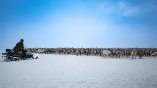 Indiáni Sibíri proti ťažbárom