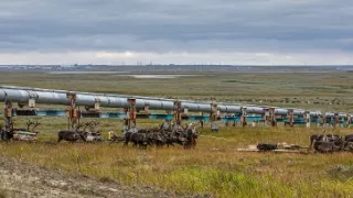 Indiáni Sibíri proti ťažbárom