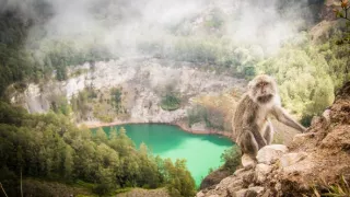 Trabantem z Austrálie do Asie (9)