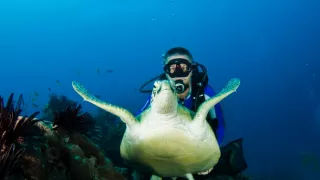 Smrtiaca sila prírody (1)