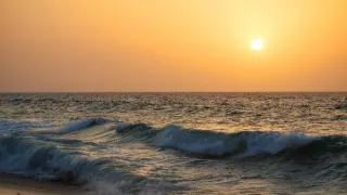 Divoká příroda Ománu (2/2)