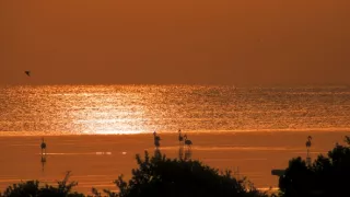 Divoká příroda Ománu (2/2)