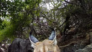 Divoká příroda Ománu (2/2)