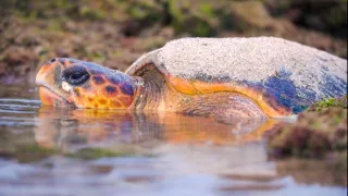 Divoká příroda Ománu (2/2)