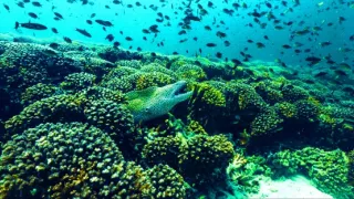 Divoká příroda Ománu (2/2)