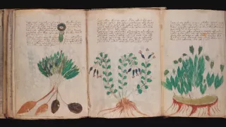 České tajemno (2/6)