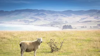 Nový Zéland - Južný ostrov