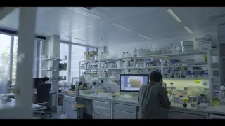 Sila rastlín - tajomný dobyvateľ