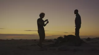 Sila rastlín - tajomný dobyvateľ