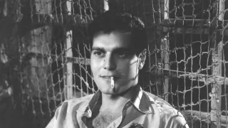 Omar Sharif, věčný kočovník