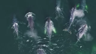 Hlbiny Stredozemného mora