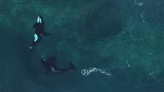 Hlbiny Stredozemného mora