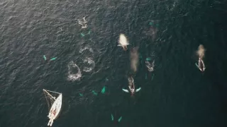 Hlbiny Stredozemného mora