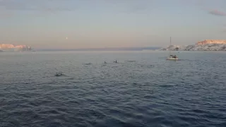 Hlbiny Stredozemného mora