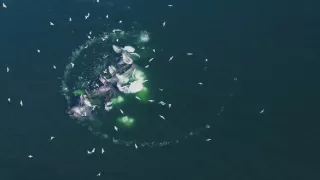 Hlbiny Stredozemného mora