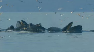 Hlbiny Stredozemného mora