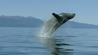 Hlbiny Stredozemného mora