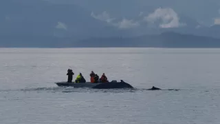 Hlbiny Stredozemného mora