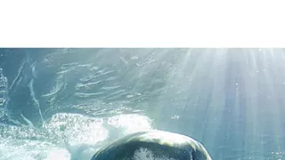 Hlbiny Stredozemného mora