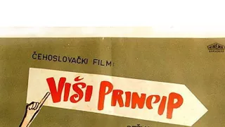 Vyšší princip