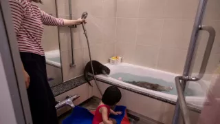 Vydry - ilegálny obchod s exotickými zvieratami